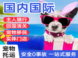 新桥空运代理国际宠物托运 【国